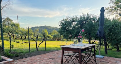 Maria's Orchard Cottage - Nature vacation in Slovenia