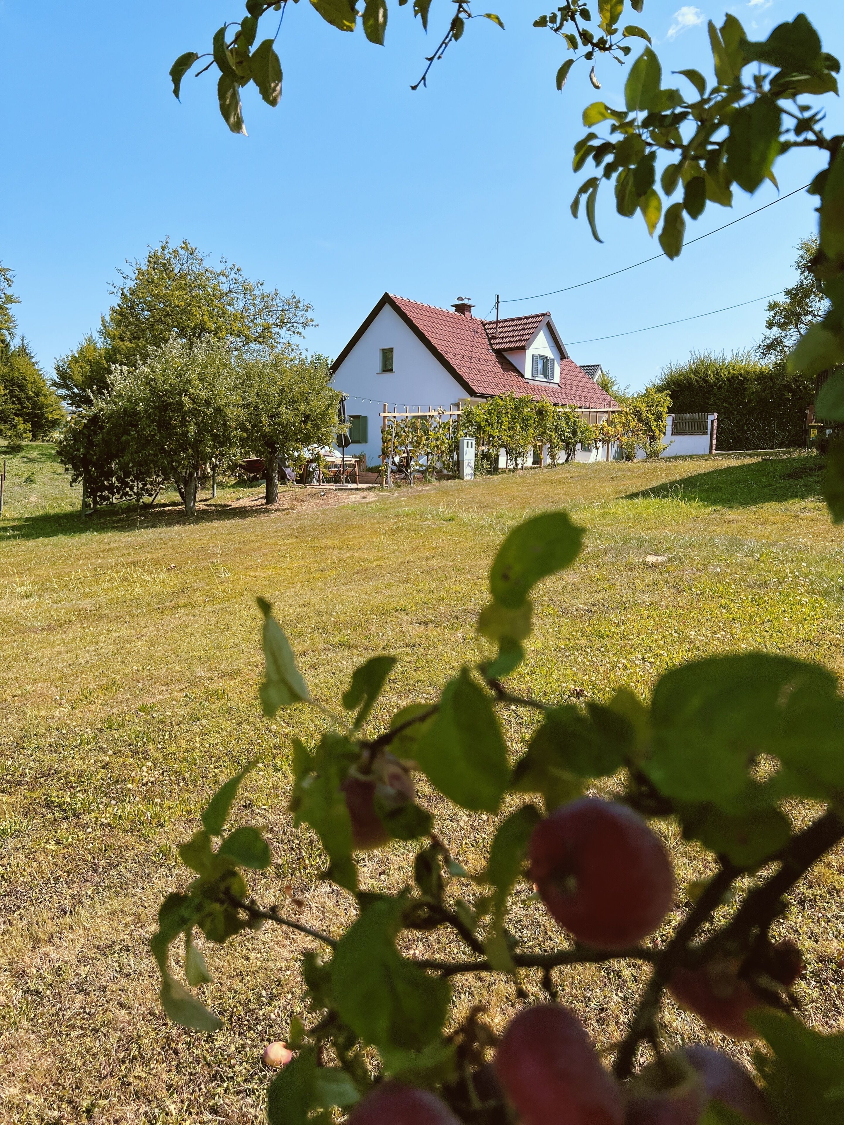 A house with a red roof, surrounded by a grassy yard and trees.