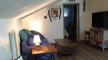 Téléviseur connecté, livres