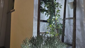 A building exterior with a wooden ladder, a white wall, and a climbing plant with lights. - Retrò holiday home- Pandorea (Sava)