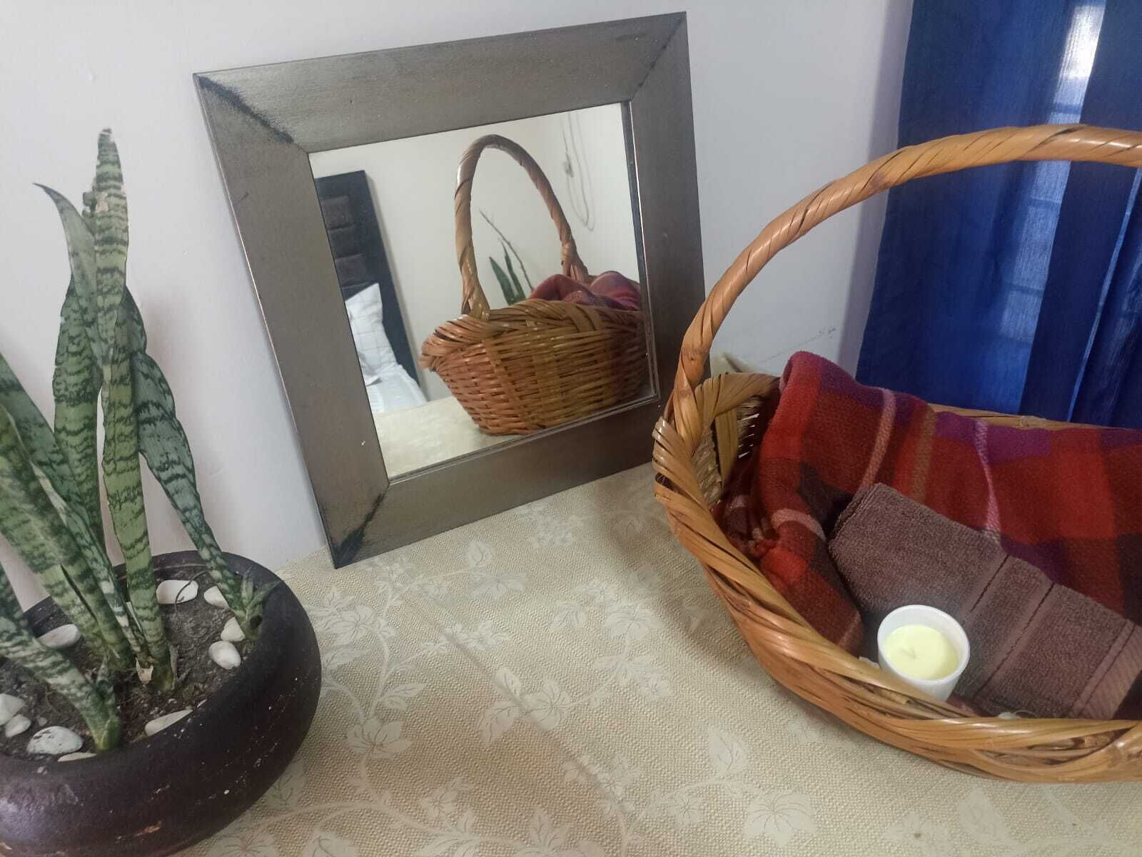 A room with a potted plant, a wicker basket, and a sofa with a plaid blanket.