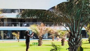 Un chemin pavé mène à l’entrée d’un bâtiment, qui est entouré de palmiers et de plantes en pot.