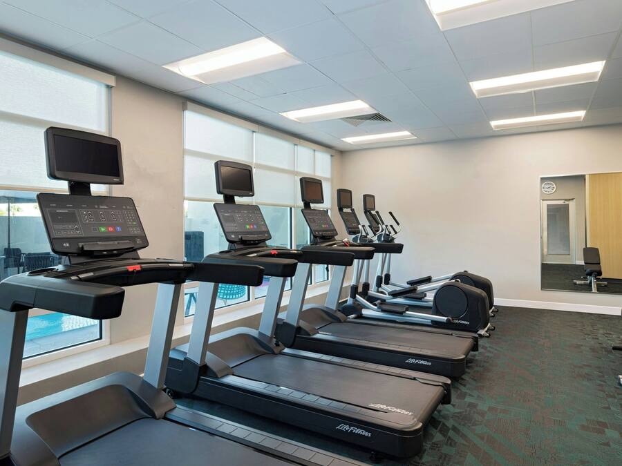 A row of treadmills with digital screens, a large window, and a carpeted floor.