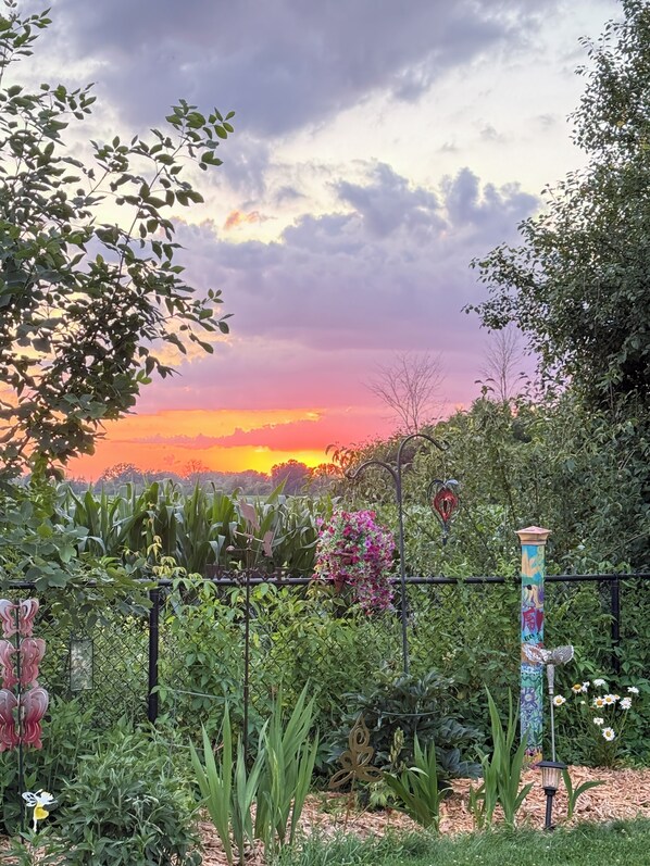 Enceinte de l’hébergement
