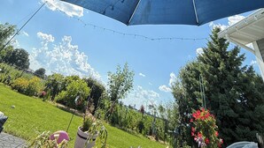 Un patio con un gran paraguas azul, césped y diversas plantas y árboles al fondo.
