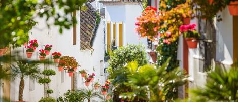 Overnattingsstedets uteområder