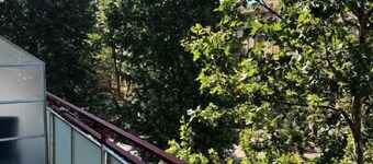 Grado apartment Ostia Lido