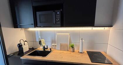 Moderne 1-Zimmer Wohnung mit Wohlfühlcharakter