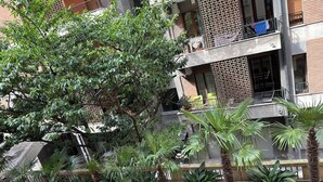 A multi-story building with balconies, a brick facade, and various potted plants. - Bienbi Trieste (Trieste)
