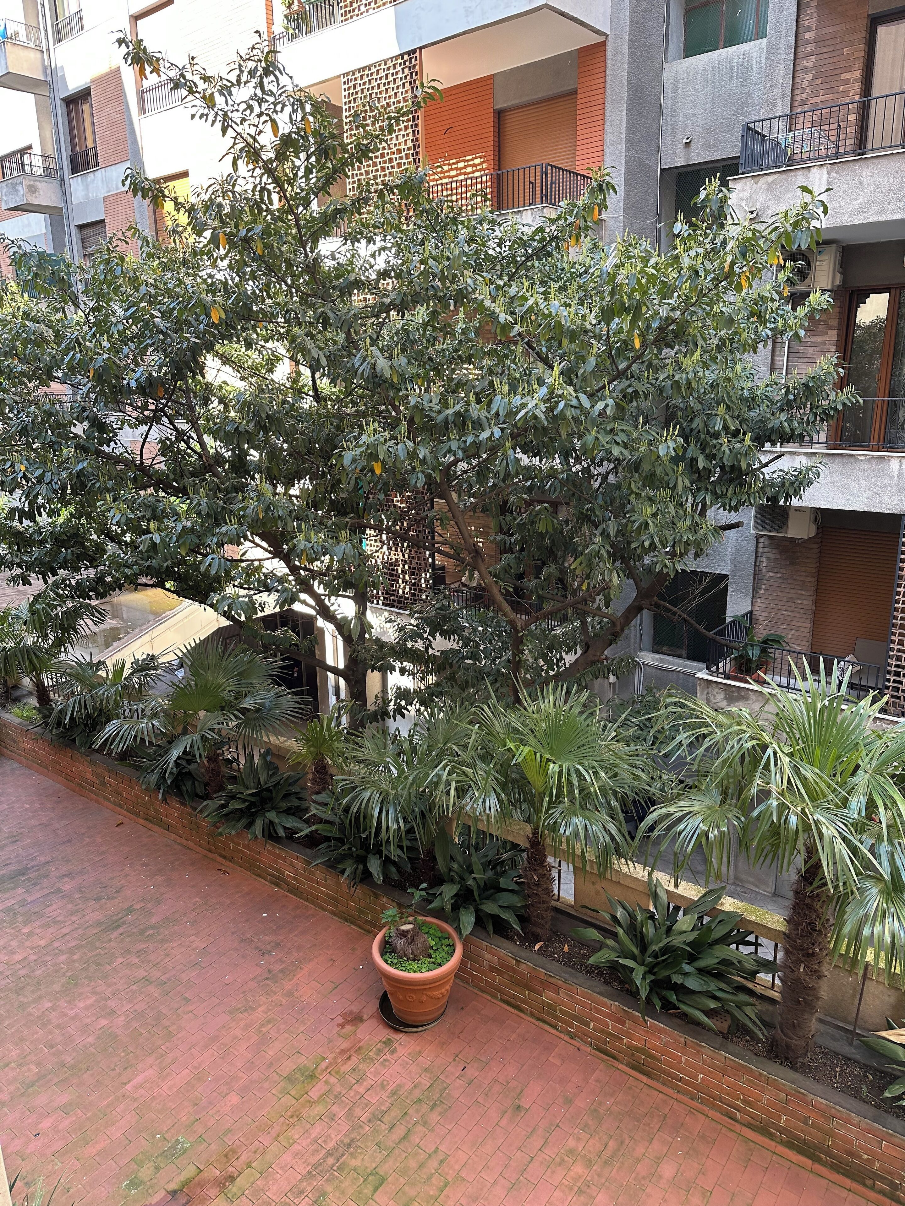 Doppia Comfort, vista cortile | Vista cortile