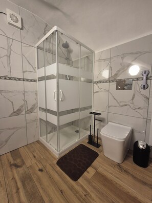 Shower, hair dryer, bidet, towels
