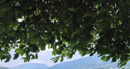 Vacation Home Regina - Terme di Comano & Dolomites - Dolomites & Trentino