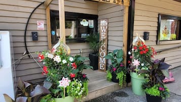 外观细节
