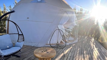 Terras