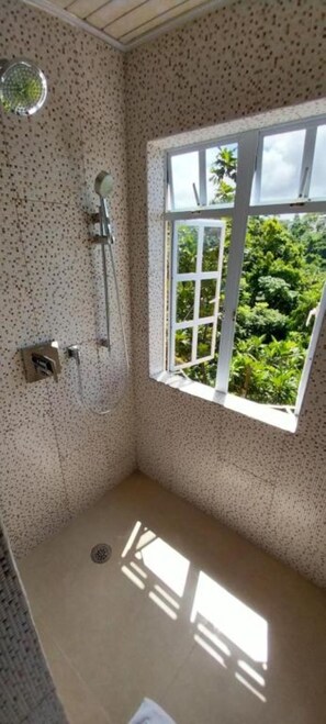 Regadera, toallas, jabón, shampoo