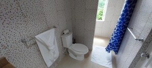 Shower, towels, soap, shampoo