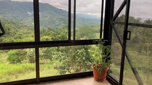 Une fenêtre donnant sur un paysage verdoyant et luxuriant, avec une colline en terrasses.