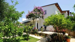 Ein modernes Haus mit einer Terrassenfläche, umgeben von üppigem Grün und blühenden Pflanzen.