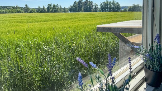 A view of a green field from a window with a wooden deck and a potted plant with purple flowers. - 1 bedroom nice apartment in Aneby (Aneby)