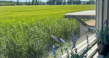 1 bedroom nice apartment in Aneby