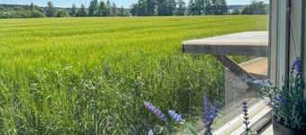 1 bedroom nice apartment in Aneby