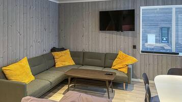 Smart-tv och eldstad