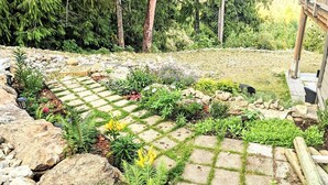 Un sendero en un jardín con piedras para pisar, rodeado de plantas y rocas.