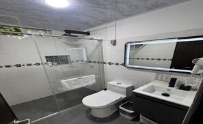 Hair dryer, towels, soap, toilet paper