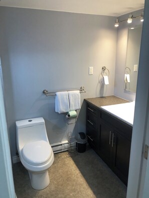 ヘアドライヤー、タオル、石鹸、トイレットペーパー