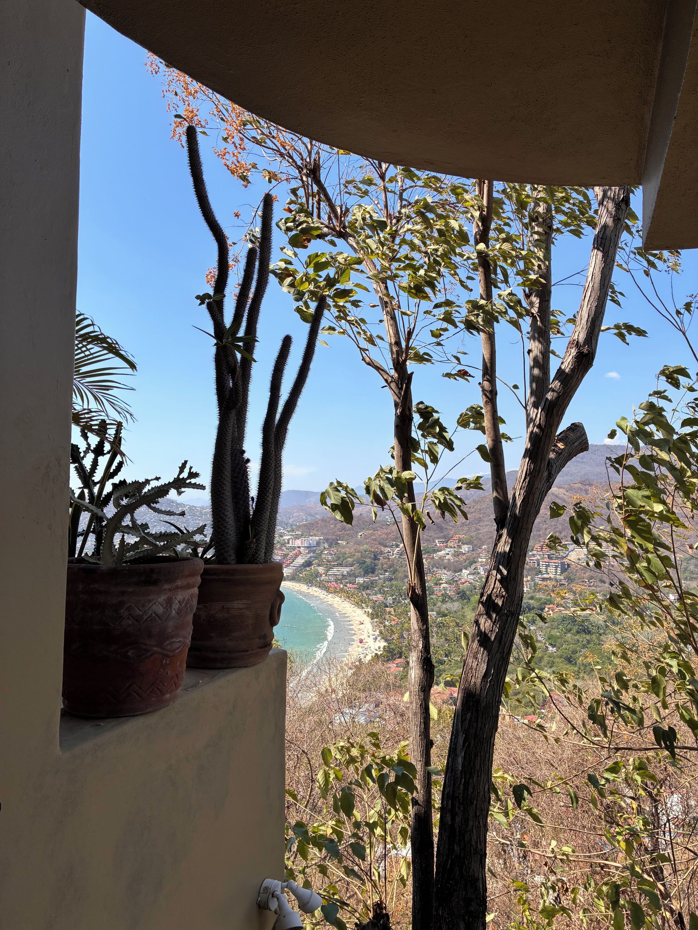 Un balcon agrémenté de plantes en pot et offrant une vue sur un paysage côtier.