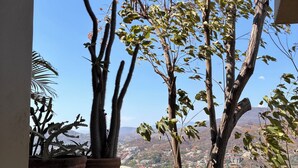 A balcony with potted plants and a view of a coastal landscape.