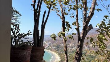 Un balcon agrémenté de plantes en pot et offrant une vue sur un paysage côtier.