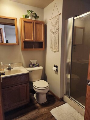 シャワー、ヘアドライヤー、タオル、石鹸