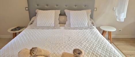 1 chambre, fer et planche à repasser, Wi-Fi