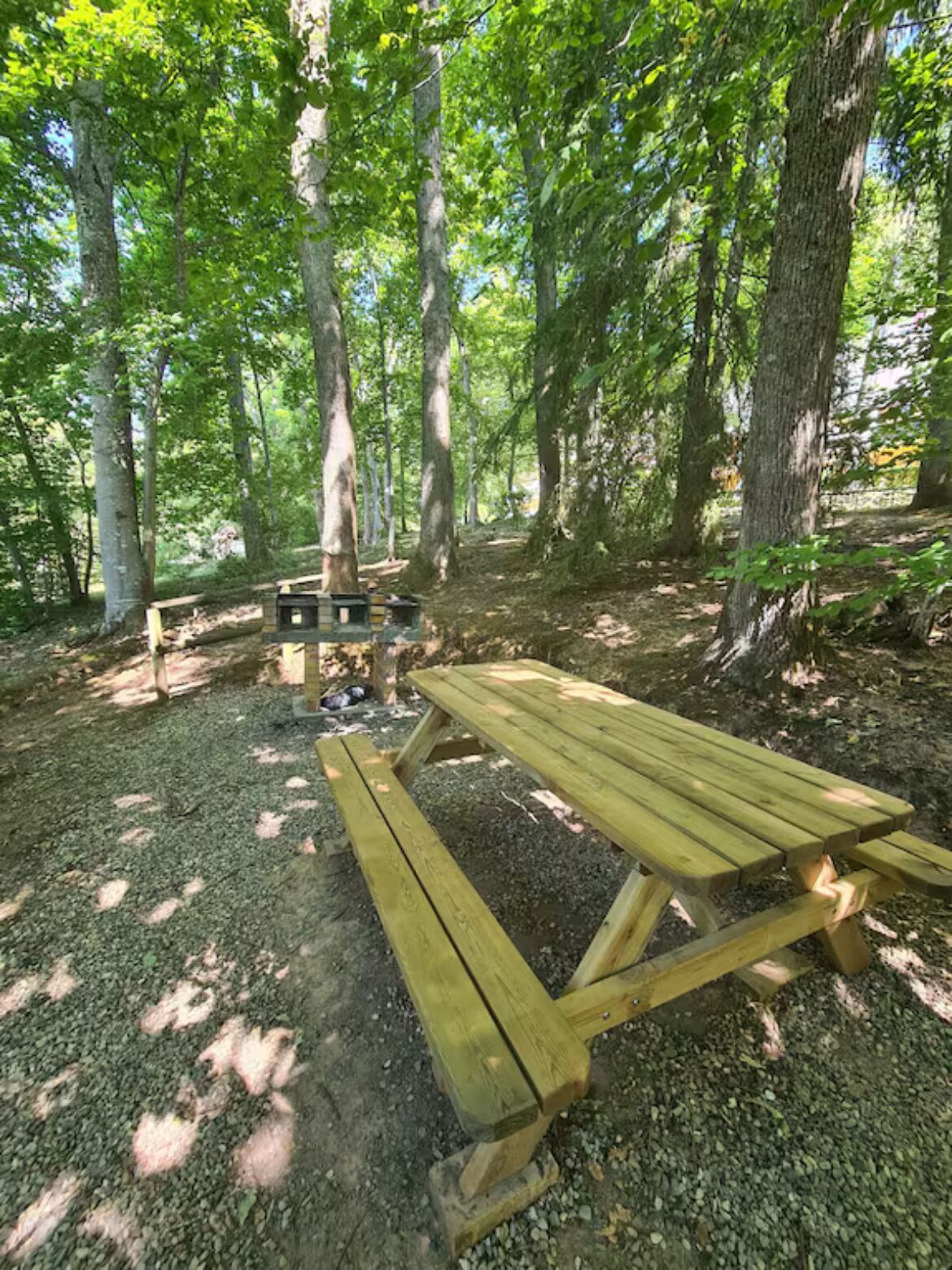 Una mesa de picnic en un área boscosa con árboles y suelo de grava.