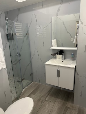 1 habitación 