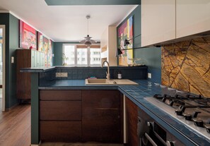 Fridge, oven, stovetop, dishwasher