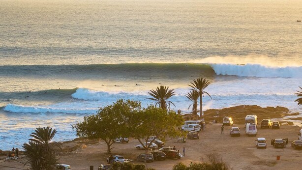 A beach with parked vehicles and palm trees. - Best room with WiFi in taghazout (agadir)