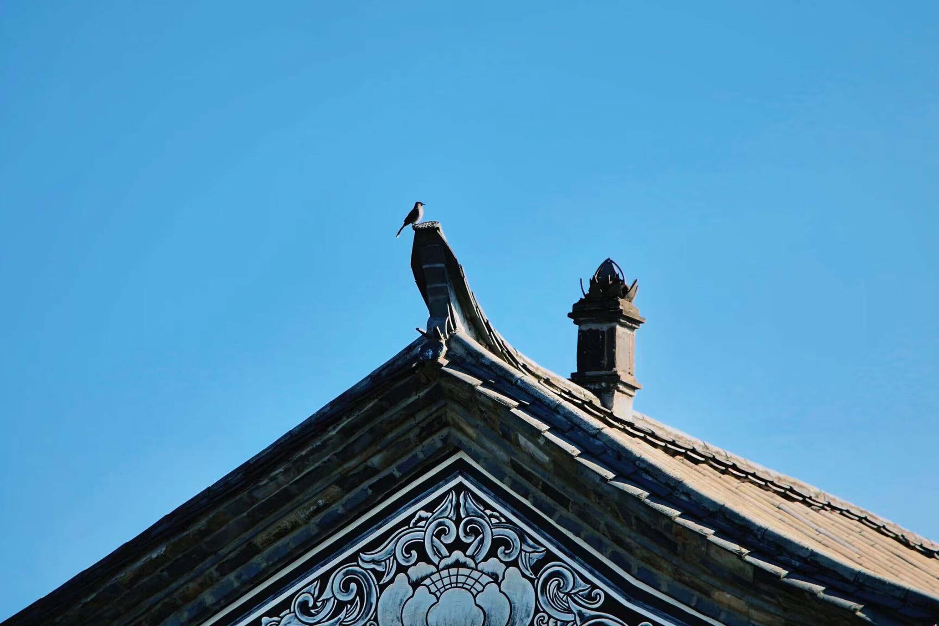 A bird perched on a building's roof.