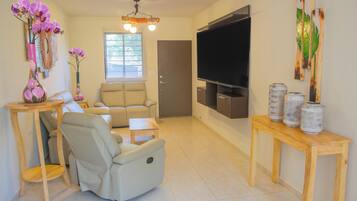 Una Smart TV, una chimenea