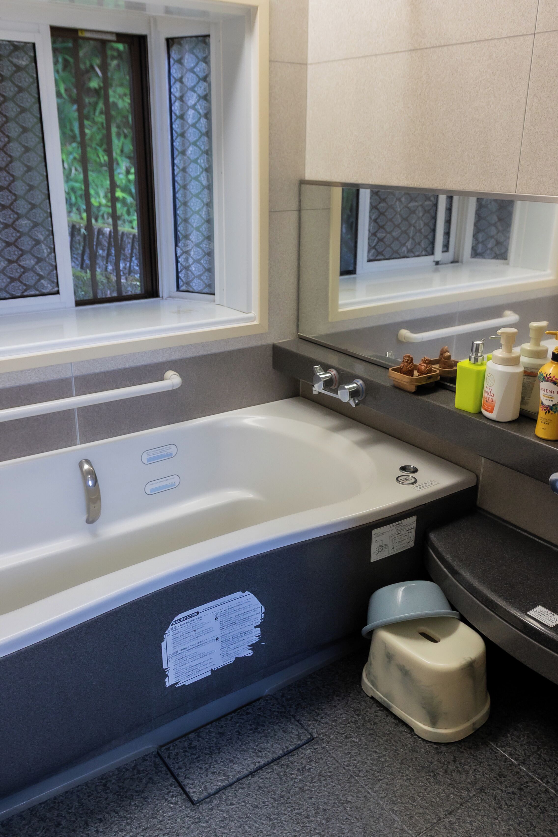 Une salle de bain avec une baignoire, une fenêtre donnant sur la verdure, un miroir et des articles de toilette posés sur le comptoir.