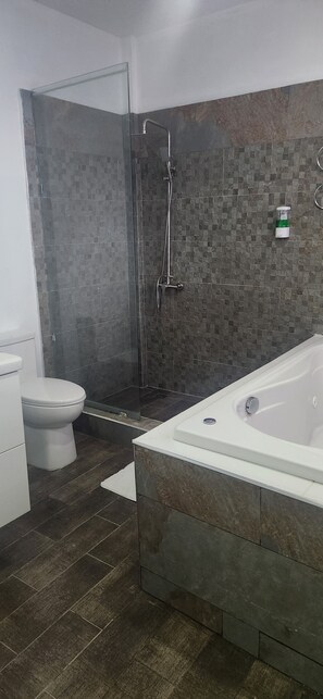 Shower, jetted bath, hair dryer, towels