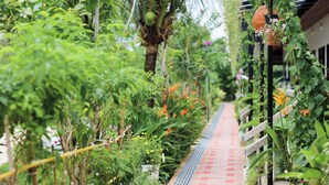 A pathway lined with various plants and flowers, leading to a covered area with hanging baskets. - The Gold-Digger's Resort (Sa Khu)