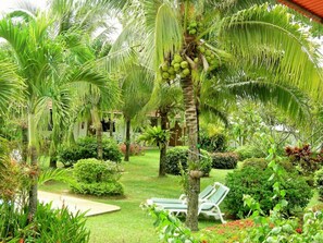 Garden view - The Gold-Digger's Resort (Sa Khu)