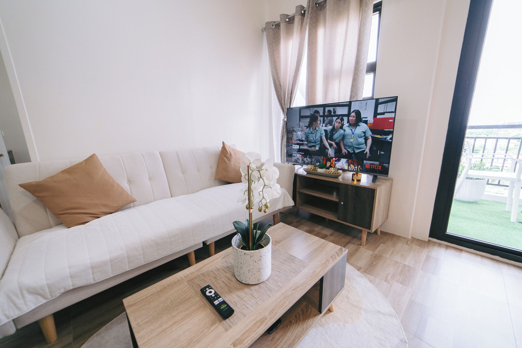 Smart TV, lareira, livros