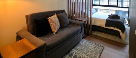 Deluxe Apartment | Living area