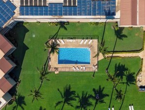 Vista aérea de un complejo turístico con una piscina central rodeada de palmeras y tumbonas.