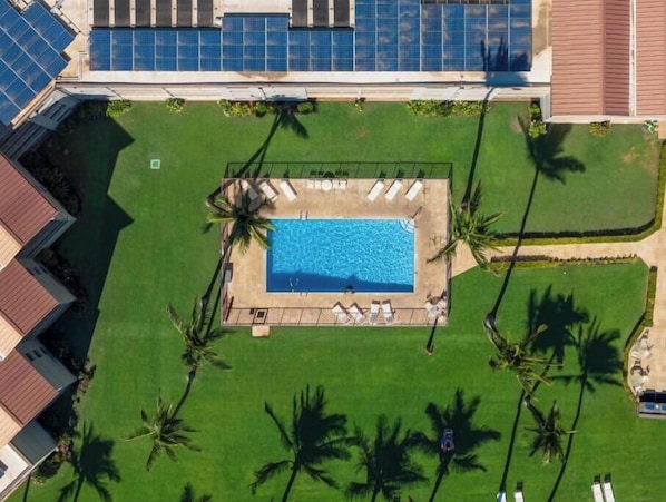 Vista aérea de un complejo turístico con una piscina central rodeada de palmeras y tumbonas.