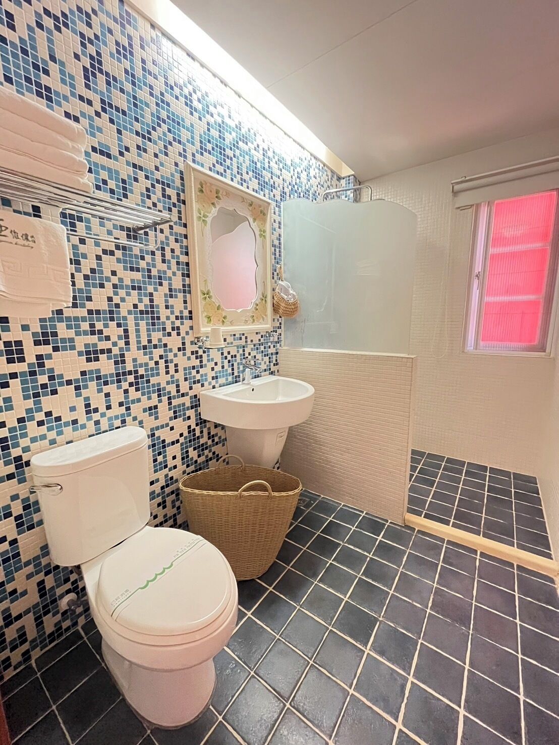 Une salle de bain avec des toilettes, un lavabo et une douche.