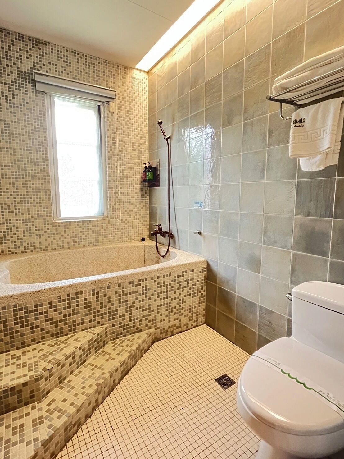 A bathroom with a mosaic-tiled shower area, a white toilet, and a window.